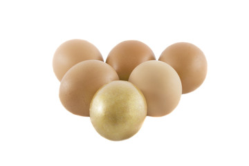 One golden and many ordinary fresh rural eggs isolated over whit