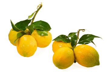 Lemons