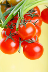 Cherry Berry Tomatoes