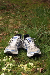 Two Running Shoes on Grass