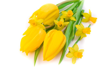 tulips and daffodils