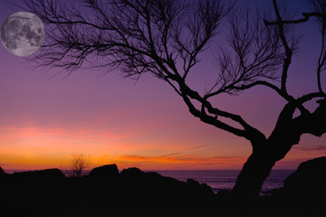 atardecer