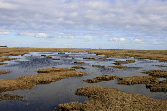 Sumpf von Blavand - Everglade of Blavand