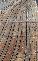 Fototapeta premium Linee ferroviarie convergenti