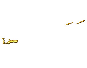 Cayman Islands 3d Golden Map