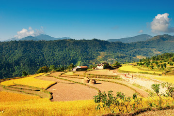 Himalayan village