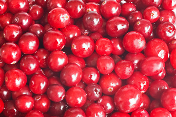 cranberry