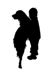 bambino con cane (vettoriale)