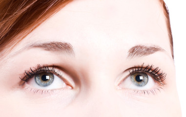 Obraz premium Human Eye