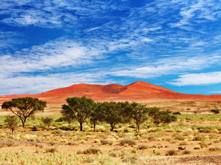 Plakat Pustynia Namib, Sossufley, Namibia