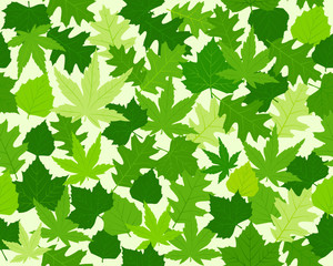 Fototapeta na wymiar Green spring leaves texture seamless pattern