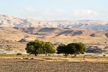 Naklejka premium Landscape of Jordan