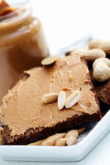 peanut butter sandwich
