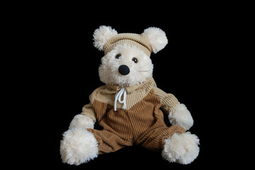 Teddy bear on black background