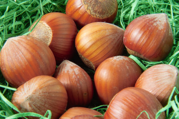 Haselnüsse