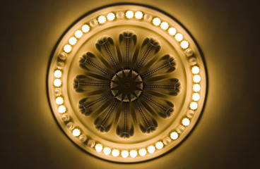 flower light