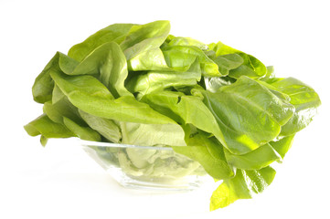 Kopfsalat