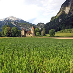 Fototapeta na wymiar Schloss Marschlins, Landquart - Graubünden