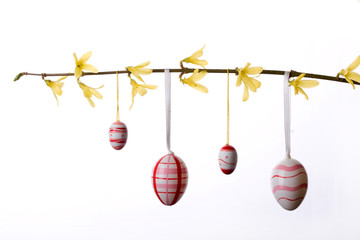 easter eggs hanging in laburnum