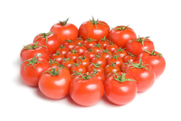 Group of tomatoes-1
