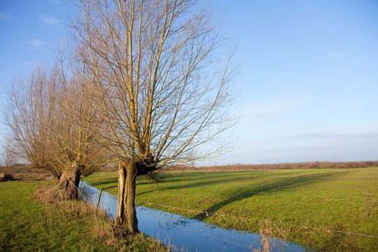 Dutch landscape
