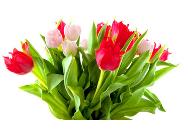 bouquet tulips