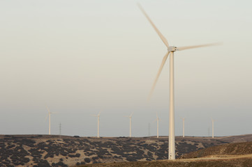 eloicos group of wind turbines at sunset