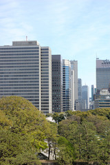 東京の公園とオフィスビル