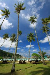 Beautiful Panorama at a Tropical  Beach - 13082703