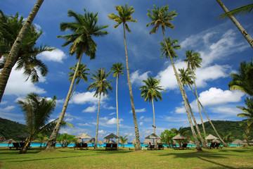 Beautiful Panorama at a Tropical Beach - 13082769