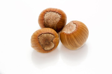 hazelnuts