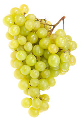 Green grapes on white.