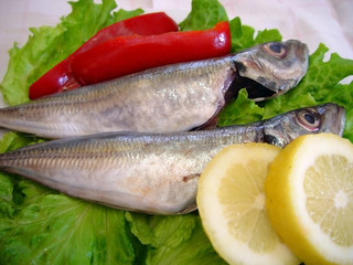 Mackerel, sardines, salad, peppers - Carapau - Sardinha
