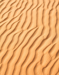 Fototapeta na wymiar Désert - Détail d'une dune