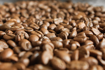 close-up of coffee beans