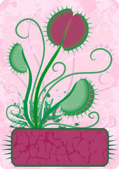 Floral design