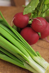 Photo Onion and Radish