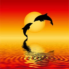 Cercles muraux Dauphins dauphins