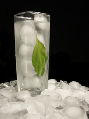 ice water © piotr_roae