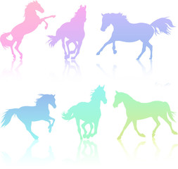 Set of rainbow-colored horse silhouette collection