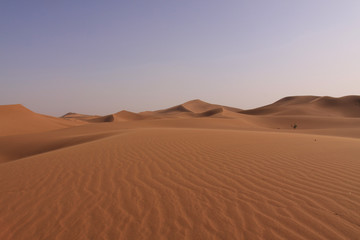 Fototapeta na wymiar Dunes du Sahara