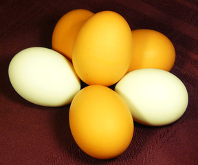 Brown and White Eggs