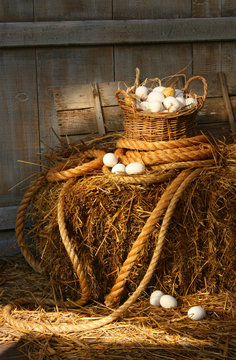 Basket of eggs on a bale of hay