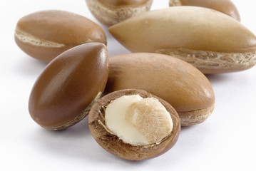 seeds of argan