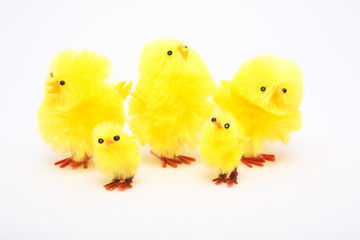 Easter chickens over white