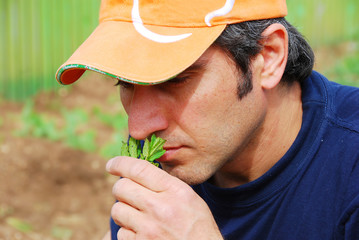 senteur de menthe © Naty Strawberry