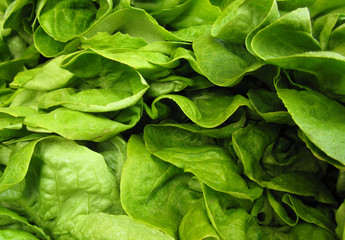 Lettuce