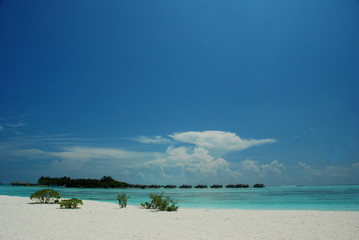 maldive