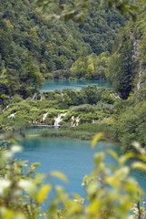 Fototapeta na wymiar Plitvitsky lakes. A kind with top. Croatia.