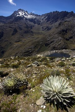 Randonn&eacute;e de haute montagne vers le Pico Bolivar